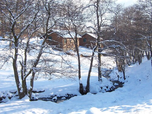 Chalet Chêne in the heart of the Parc des Volcans, close to the Sancy massif