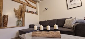 Smart TV, fireplace, books