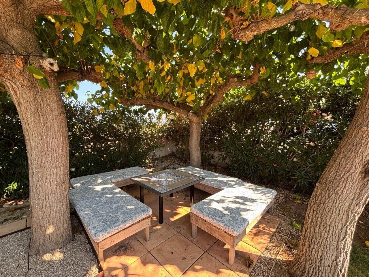 Terraza o patio