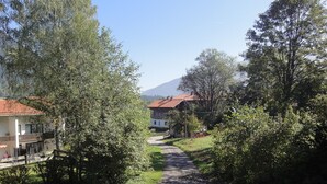 Un camino rural bordeado por árboles y casas, que lleva a una montaña a lo lejos.