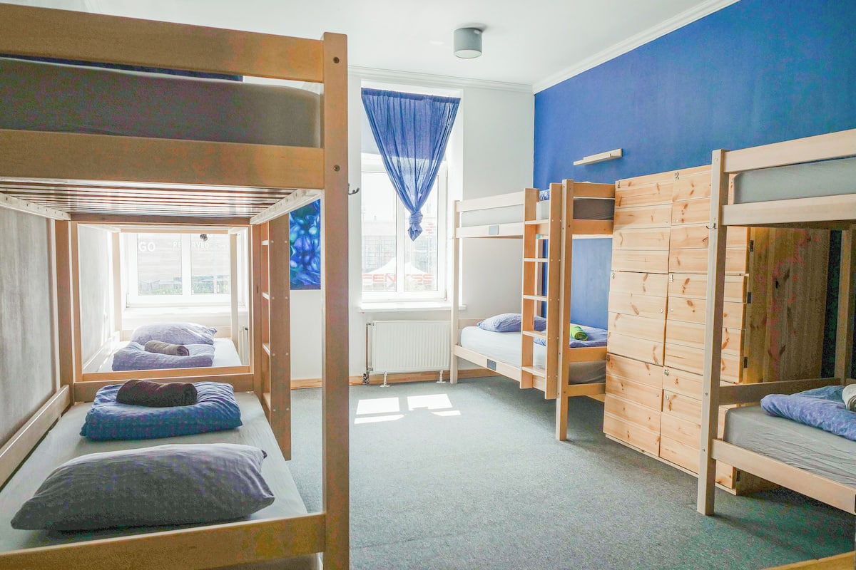 A dormitory room with bunk beds, a window with curtains, and a radiator.
