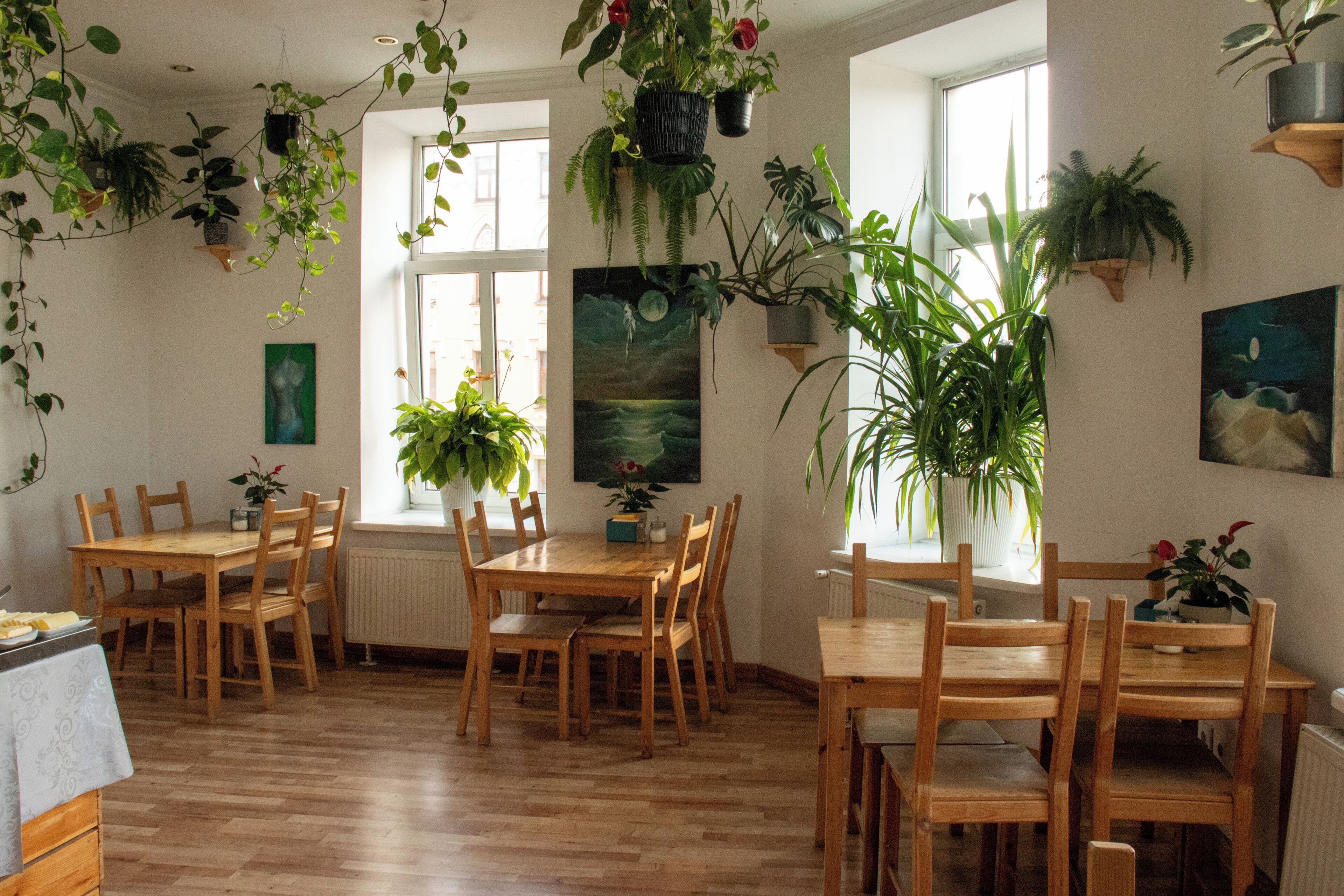 Foto - Cinnamon Sally Backpackers Hostel