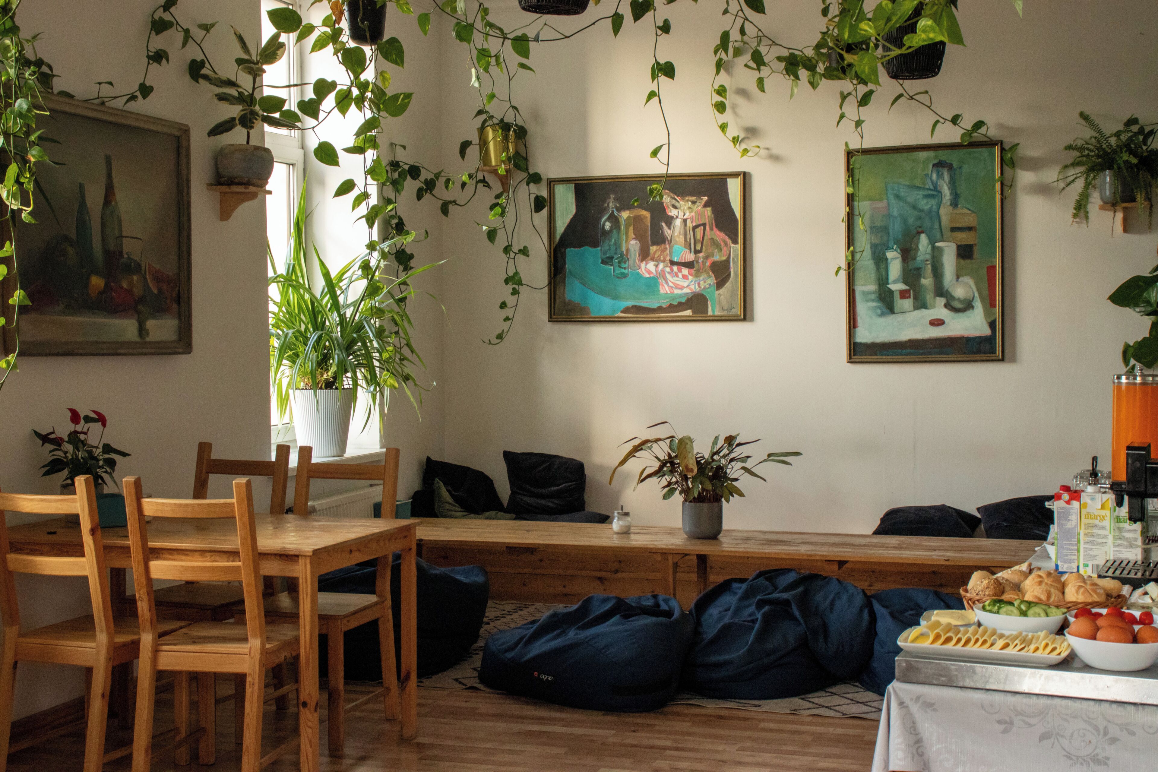 Foto - Cinnamon Sally Backpackers Hostel