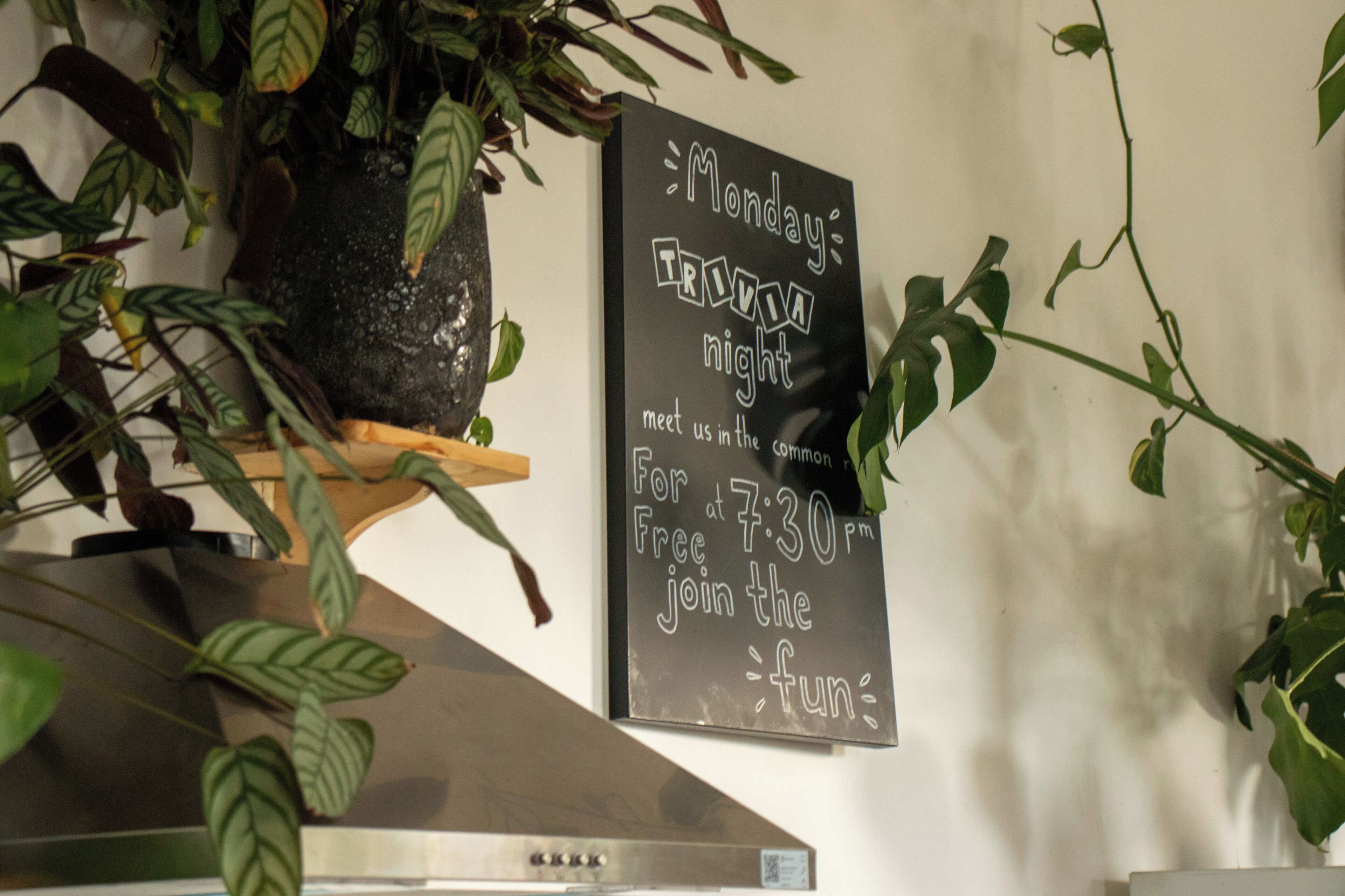 Foto - Cinnamon Sally Backpackers Hostel