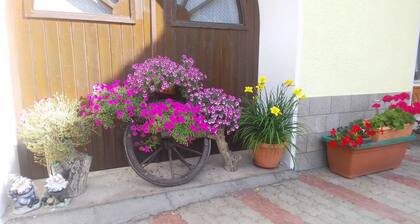 VACATION HOME IRIS RELAX IN TOUCH WITH NATURE