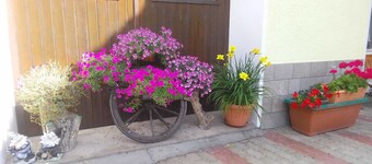 VACATION HOME IRIS RELAX IN TOUCH WITH NATURE