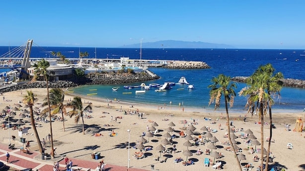 Une plage bordée de palmiers, une marina avec des bateaux et un pont.