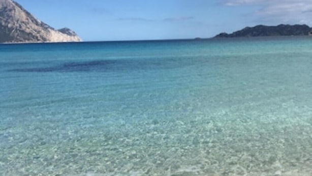 Une plage avec une eau claire et peu profonde et un rivage sablonneux.