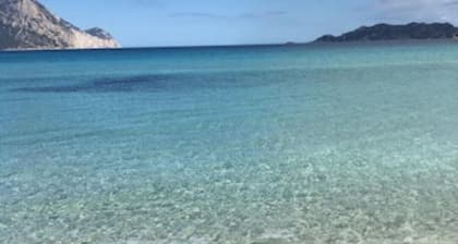 Villa Lisa - With large private pool in protected Tavolara area