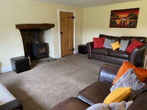 Smart TV, fireplace, video games, DVD player