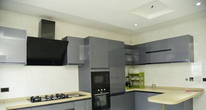 Exquisite extremely clean and cozy home 25 minutes from the airport