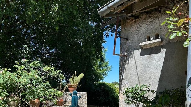 Un mur de pierres avec des plantes en pot et une petite table.
