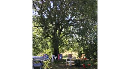 Authentic charm, ideal for cousins, but adaptable, in a quiet hamlet