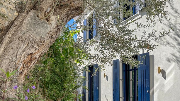 Ein schmaler Weg, gesäumt von weißen Gebäuden mit blauen Fensterläden, der zu einer Tür führt.