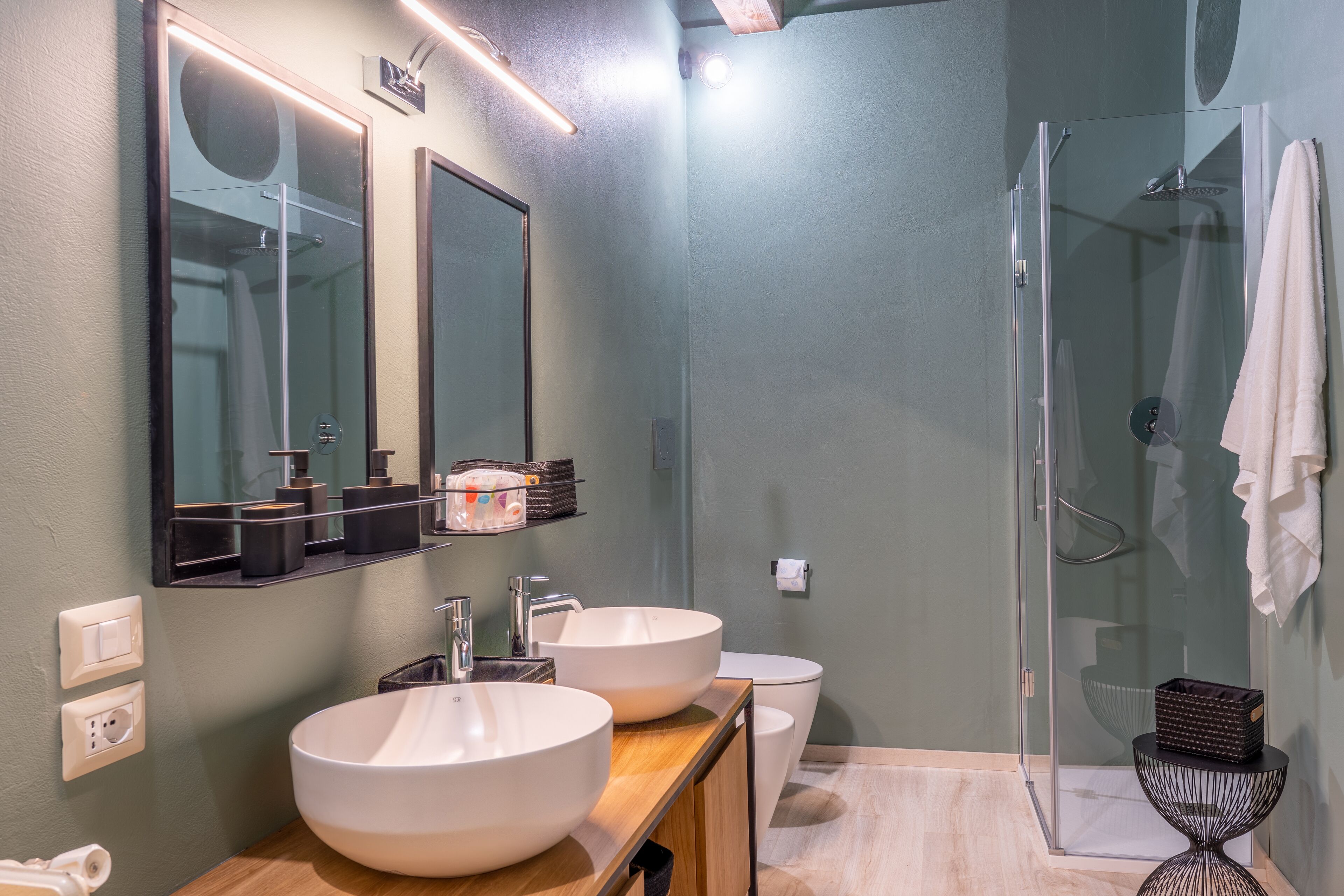 Shower, hair dryer, bidet, towels