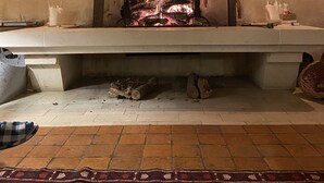 A stone fireplace with a fire, surrounded by shelves with decorative items. - Cottage de charme au vert – entre Guédelon & Sancerre - Calme et nature (Saint-Amand-en-Puisaye)