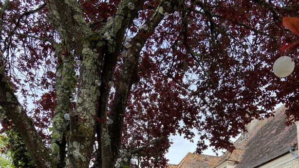 A stone building with a tiled roof, outdoor seating, and a tree with red leaves. - Cottage de charme au vert – entre Guédelon & Sancerre - Calme et nature (Saint-Amand-en-Puisaye)