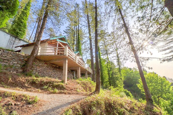 Property grounds - Hillside  Hideaway 2 Cottage (Pangoot)
