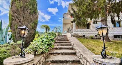 Magnificent residence with swimming pool and garden in Mougins