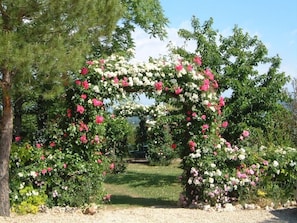 Property grounds - ROMANTIC 17C VILLA -Fabulous VIEWS-Stunning POOL Complex.HOT TUB.PIZZA OVEN.A/C (Monterchi)