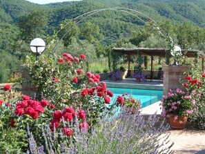 Piscine extérieure, piscine chauffée