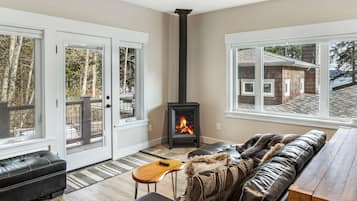 TV connectée, cheminée, livres