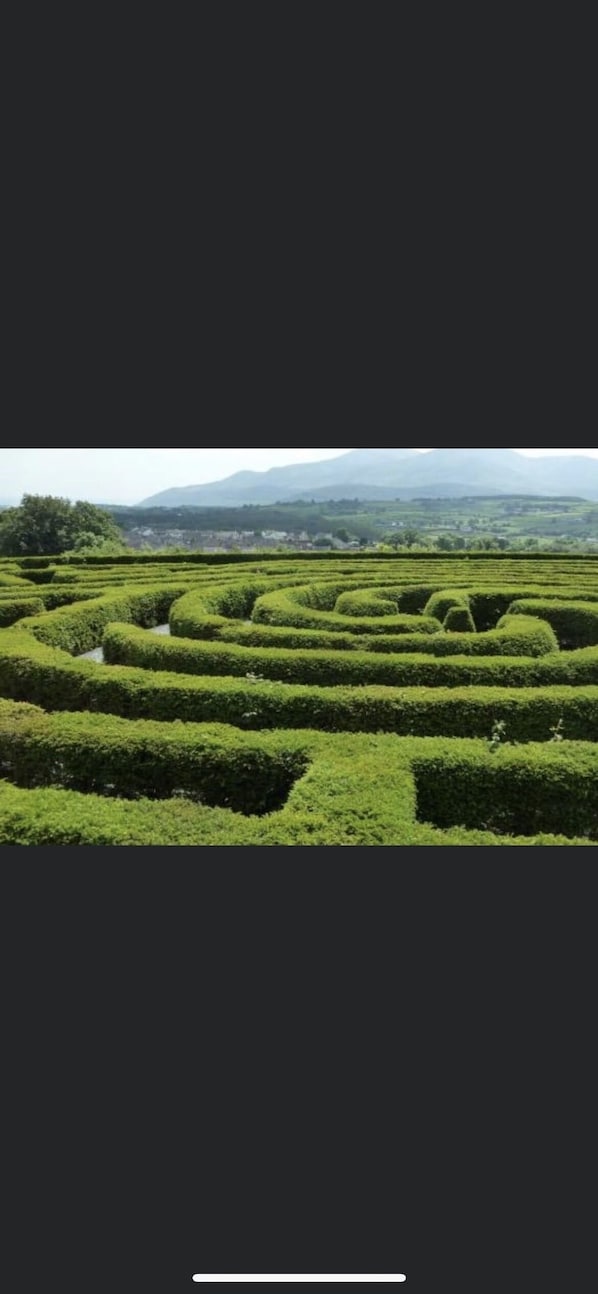Un labyrinthe bordé de haies soigneusement taillées, d’où l’on aperçoit au loin des montagnes et une ville.