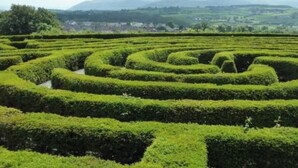 Un jardín laberinto con un sendero visible.