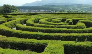 Un giardino labirintico con un percorso ben definito.