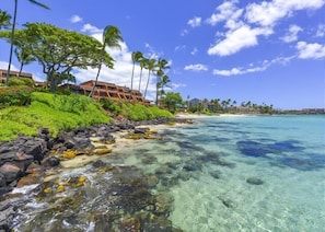 On the beach - Stylish Oceanfront Kuleana 405 1BR Private Lanai, Sunset Views (Lahaina)