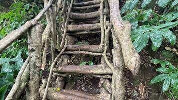 A wooden bridge made of logs in a forest.