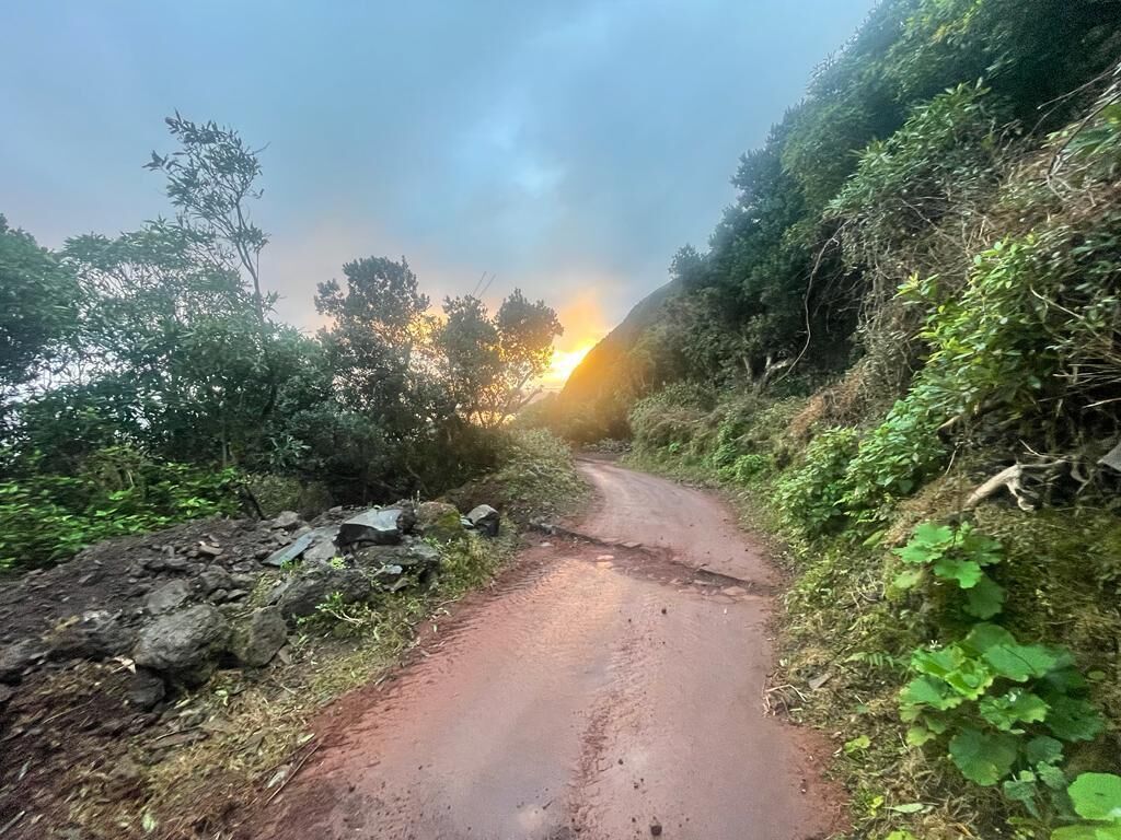 Una stretta strada sterrata, costeggiata da fitta vegetazione e terreno roccioso.