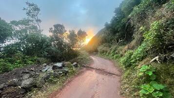 Una stretta strada sterrata, costeggiata da fitta vegetazione e terreno roccioso.