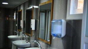 淋浴设施、旋水按摩花洒、名牌洗护用品、吹风机