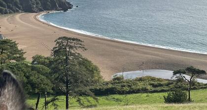 Kestrel Cottage pet friendly barn conversion, quiet farm location, nr Dartmouth