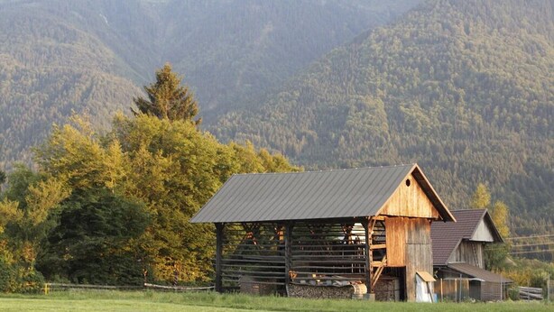 A rustic wooden barn with a metal roof, surrounded by a fenced field and dense forested mountains in the background. - Stylish vacation apartment in an old farmhouse - south view (Kirchbach)