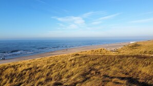 En strand med græsklitter og fri udsigt over havet.
