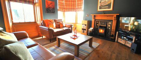 Televisión, chimenea