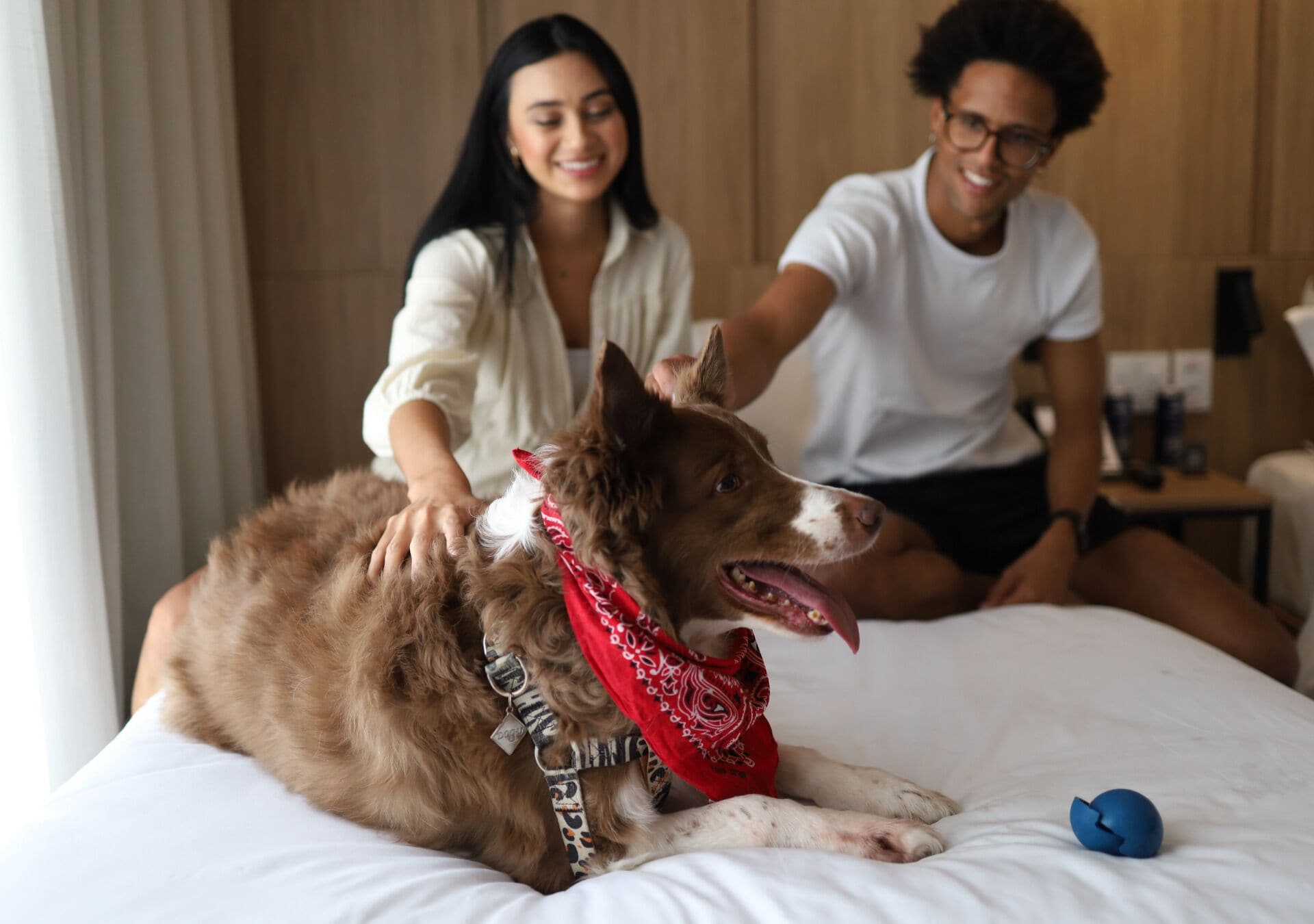 Photo - Radisson Pinheiros