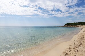 A beach with clear water, sandy shore, and a forested hill in the background. - At Teresa's House (Puglia)