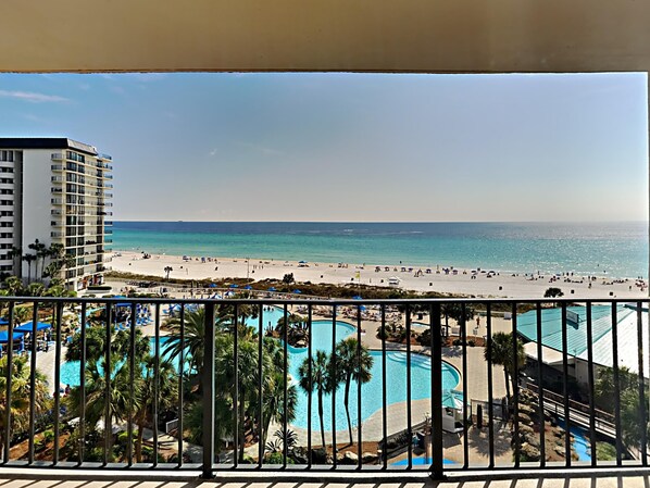 Relax by the beachfront pool surrounded by palm trees and enjoy the ocean views.