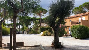 Terrain de l’hébergement 