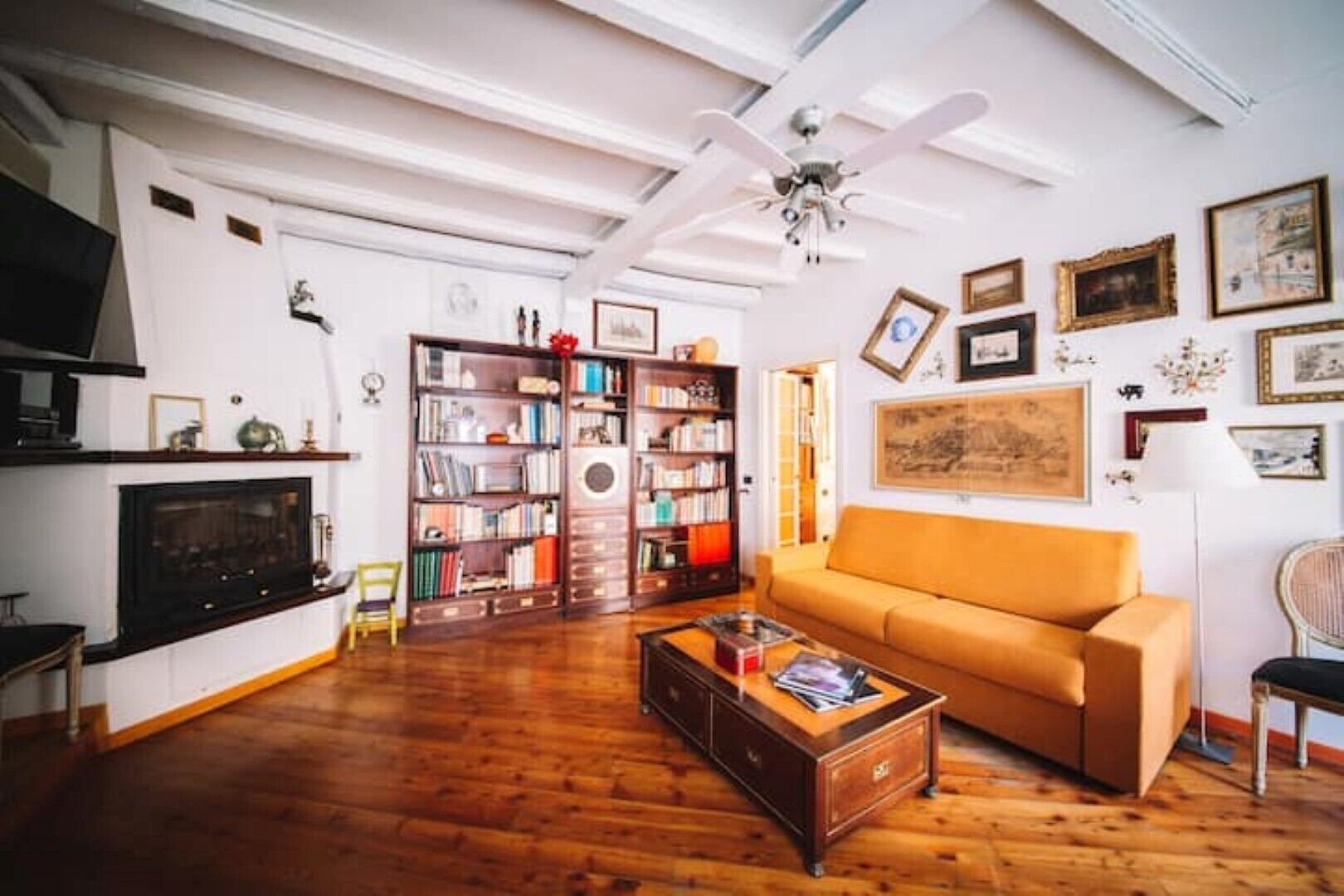 Televisión, chimenea y libros 