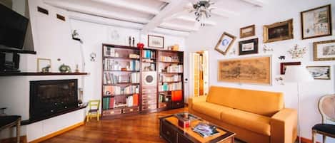 TV, fireplace, books