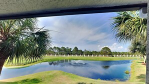 Une vue d’un étang avec une fontaine, entouré de palmiers et d’une zone herbeuse.