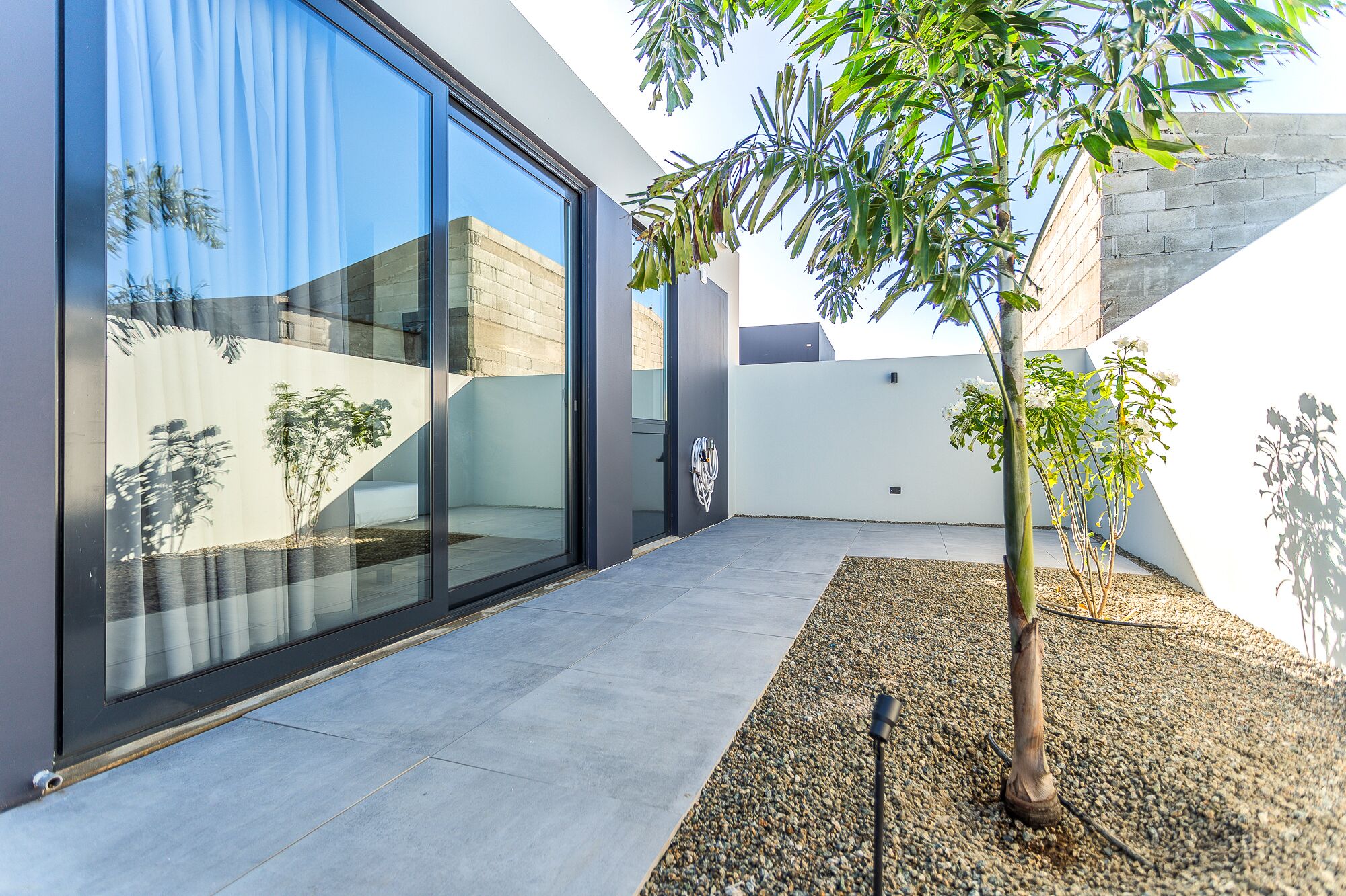 A modern building with large glass windows, a concrete wall, and a small tree in the foreground.