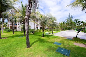 A well-maintained grassy area with palm trees and a paved walkway.