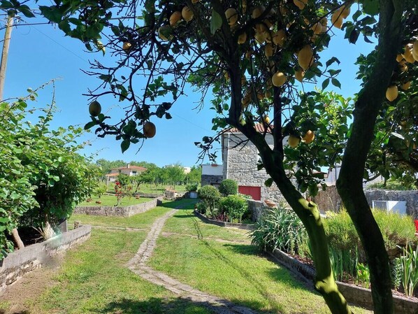 A garden with a stone building, a paved path, and a variety of plants.