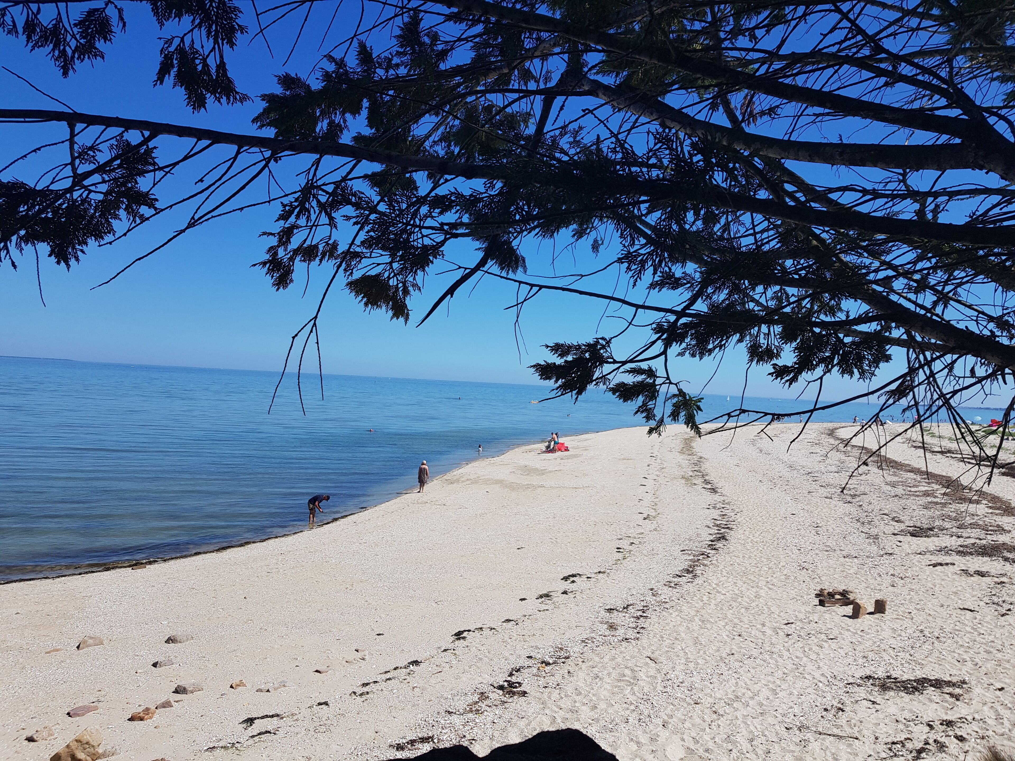 Playa