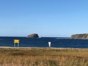 A coastal road with a yellow warning sign and a white informational sign.